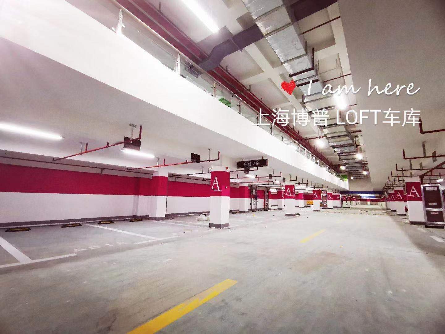 衡阳已交竣的绿城豪华LOFT专利车库效果惊艳！